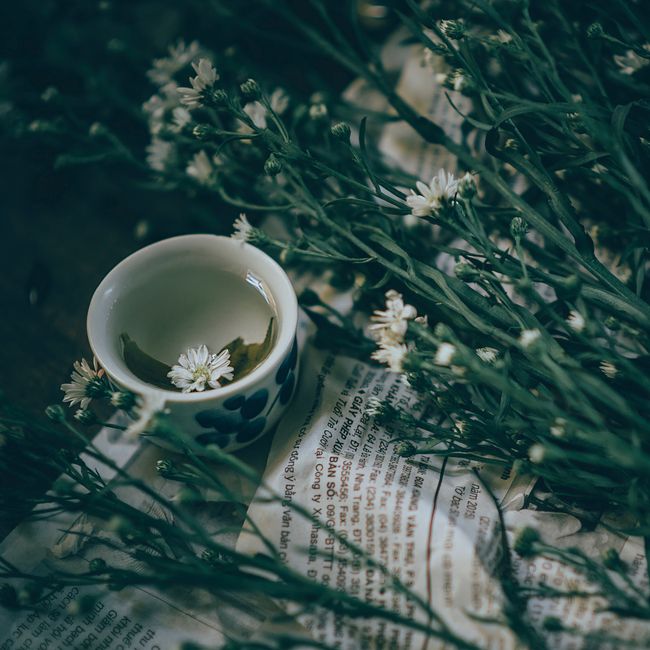 Porcelanski gaiwan, 120 ml